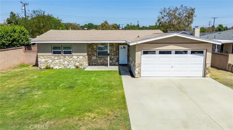 2309 Spinnaker