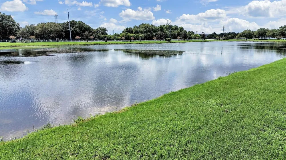 11908 FERN BLOSSOM DRIVE Gibsonton, FL 33534