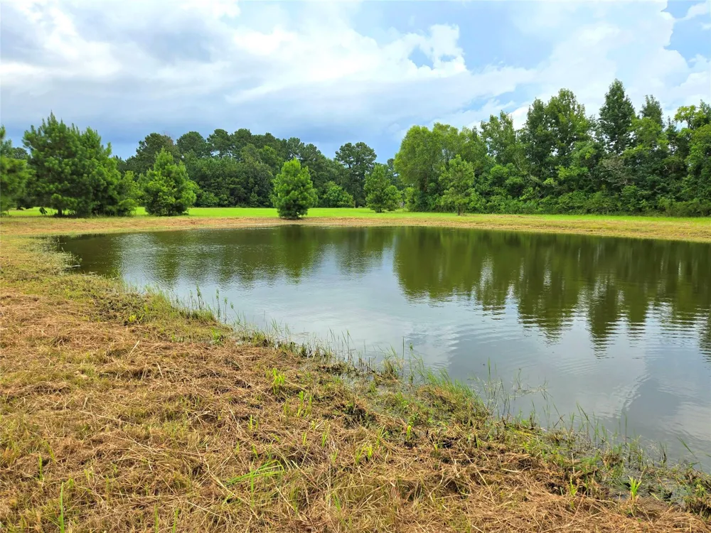 1955 County Road 2281 Cleveland, TX 77327