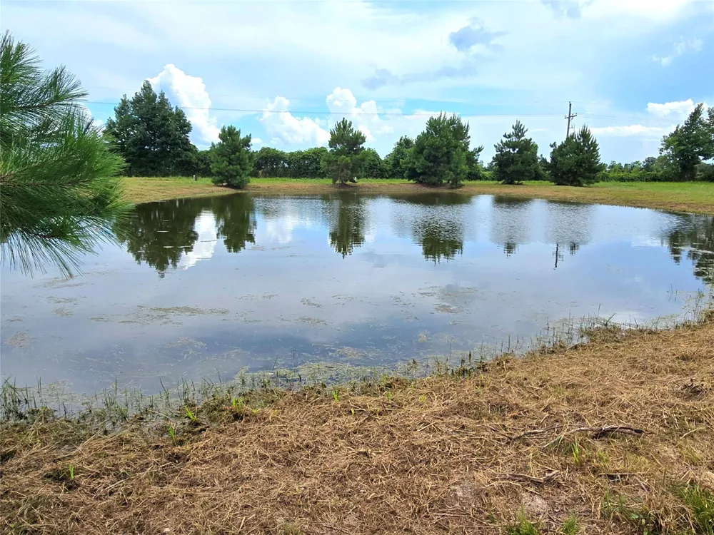 1955 County Road 2281 Cleveland, TX 77327