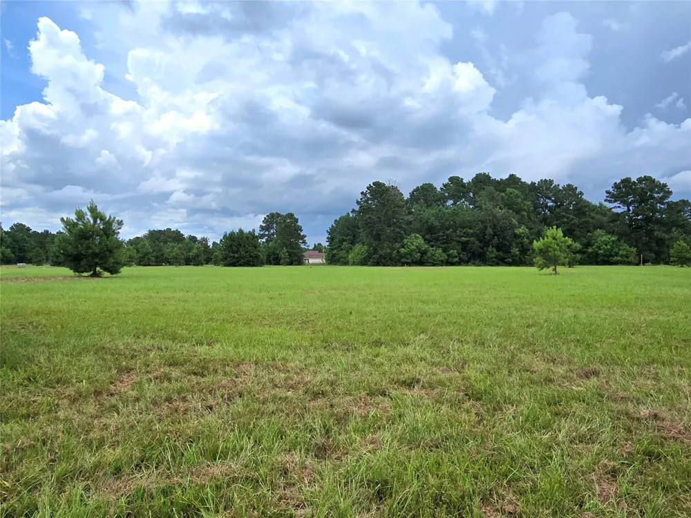 1955 County Road 2281 Cleveland, TX 77327