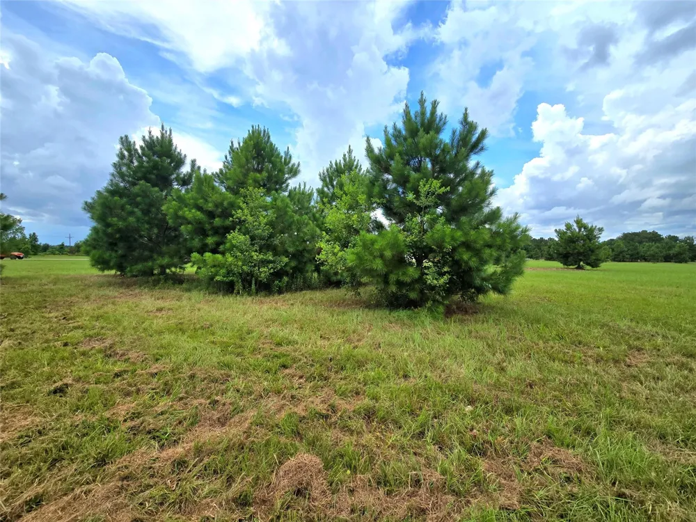 1955 County Road 2281 Cleveland, TX 77327