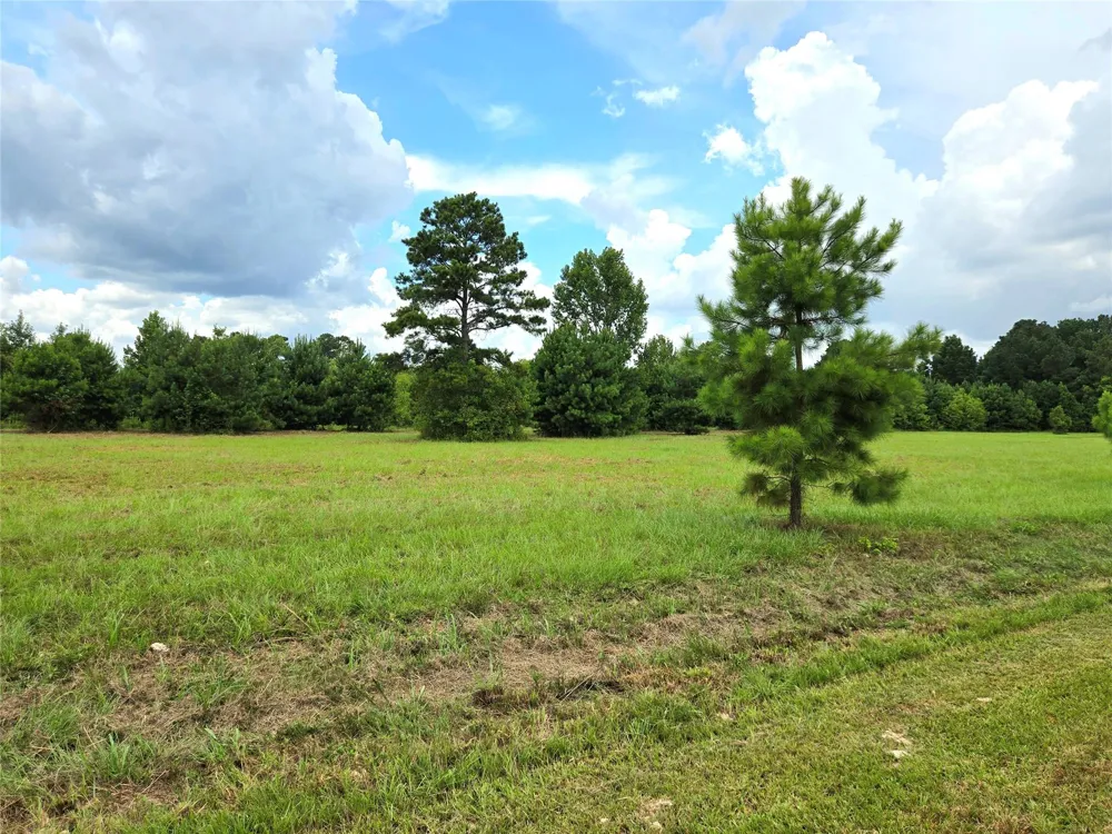 1955 County Road 2281 Cleveland, TX 77327