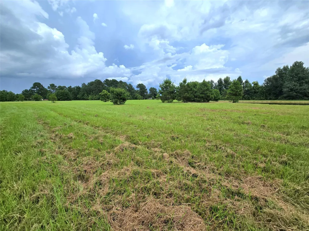 1955 County Road 2281 Cleveland, TX 77327