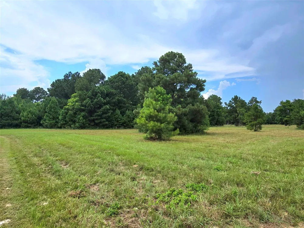 1955 County Road 2281 Cleveland, TX 77327