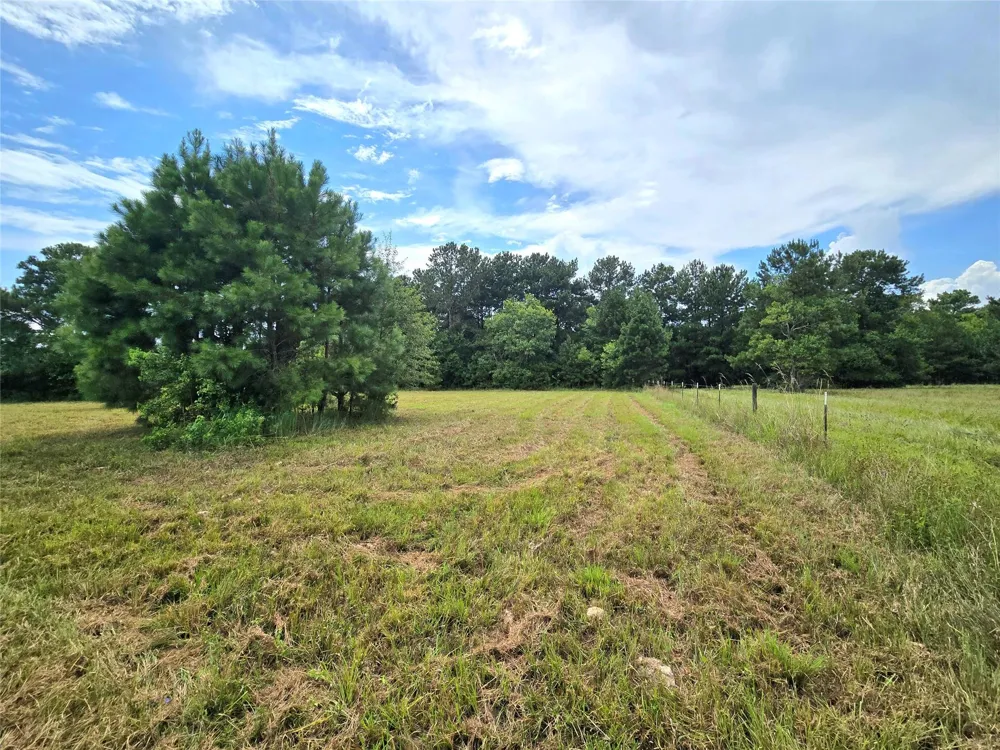 1955 County Road 2281 Cleveland, TX 77327