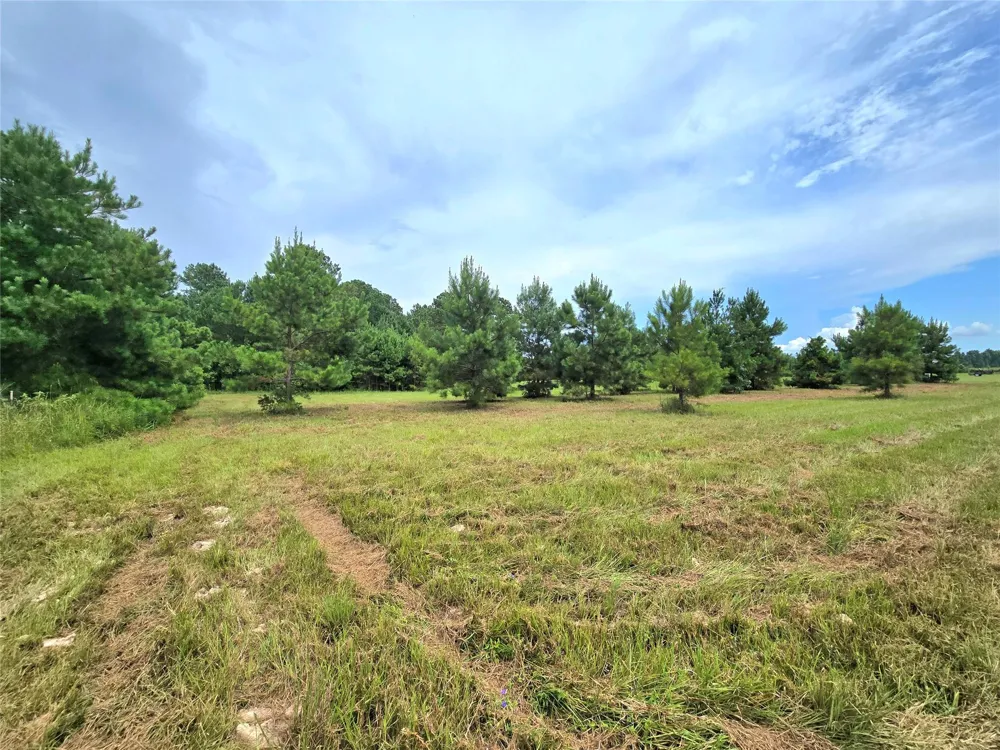 1955 County Road 2281 Cleveland, TX 77327