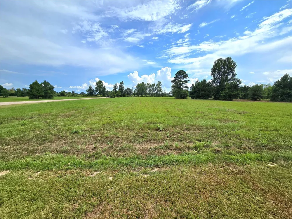 1955 County Road 2281 Cleveland, TX 77327