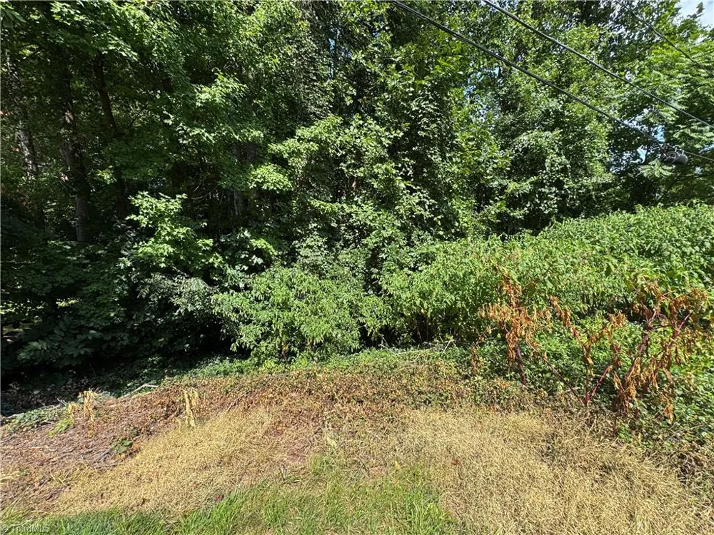 0 Dilworth Street Winston-Salem, NC 27101