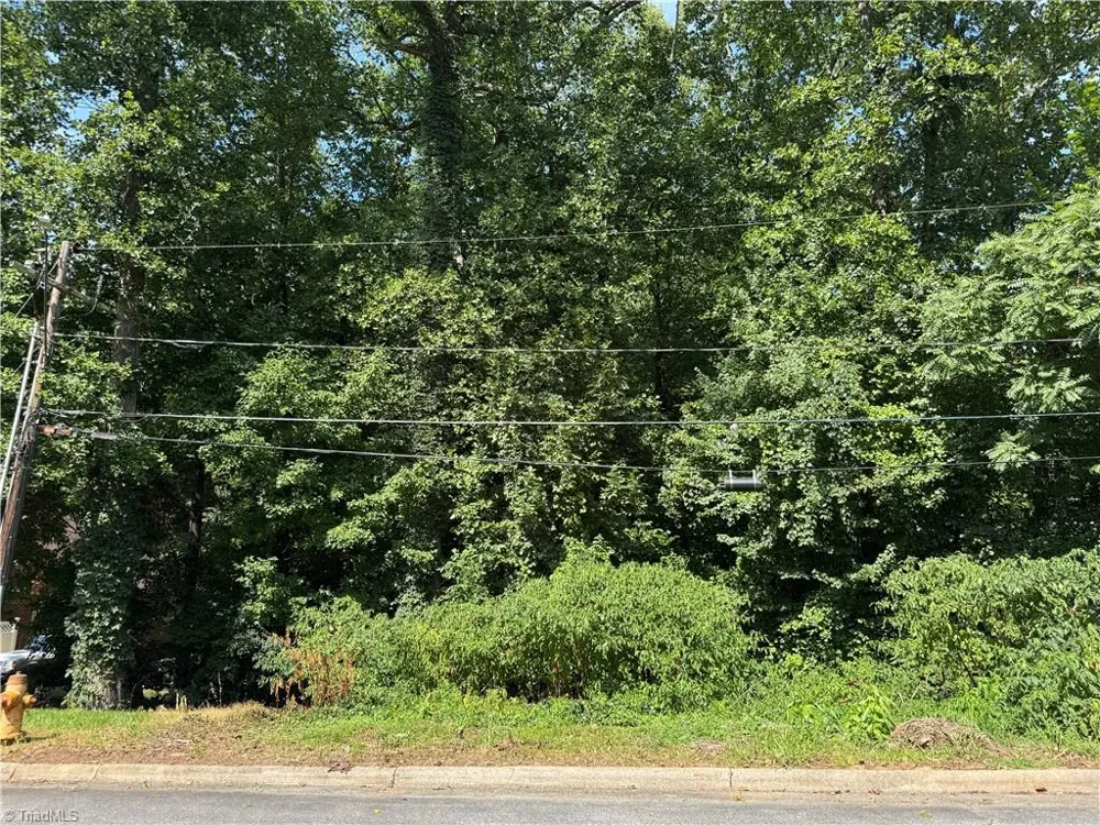 0 Dilworth Street Winston-Salem, NC 27101