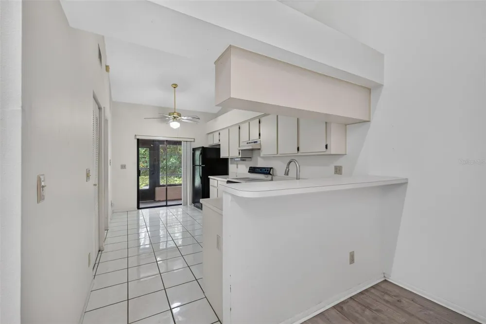 11754 SPRING TREE LANE Port Richey, FL 34668