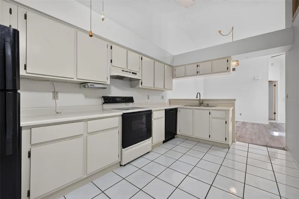11754 SPRING TREE LANE Port Richey, FL 34668