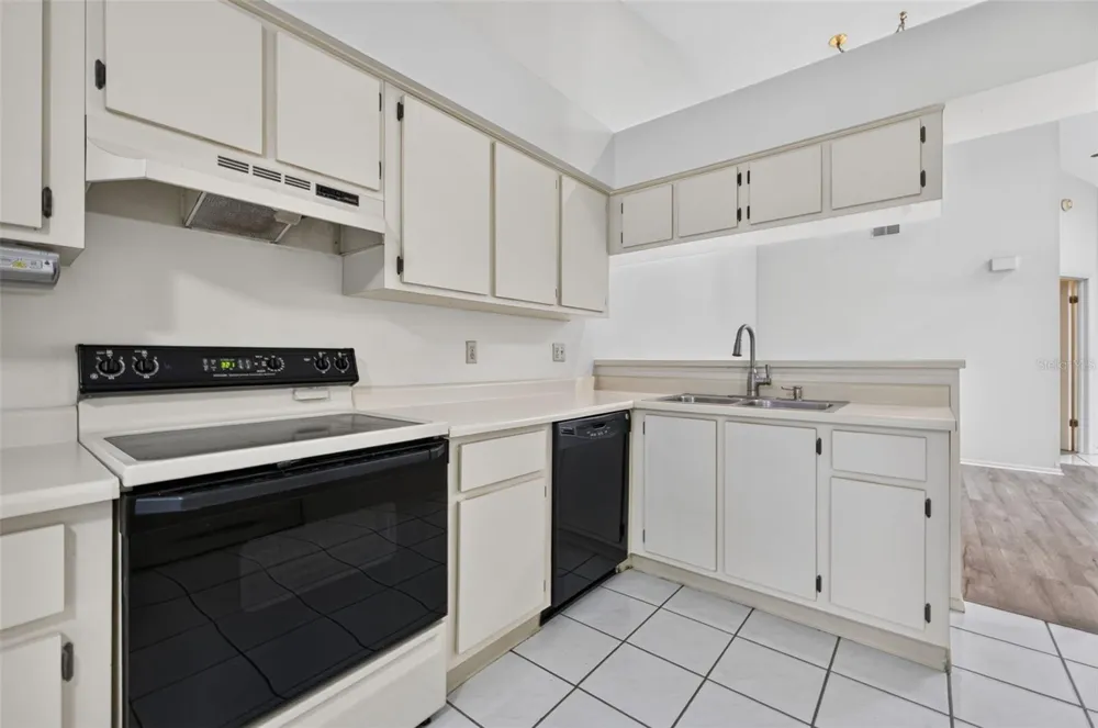 11754 SPRING TREE LANE Port Richey, FL 34668