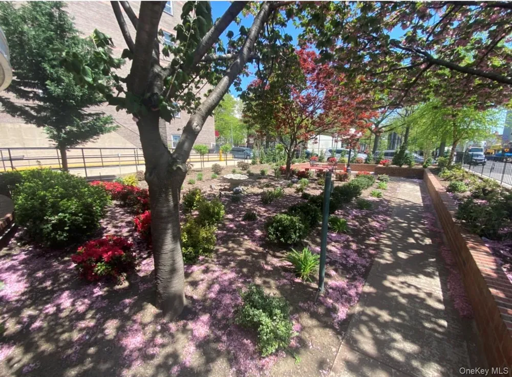 8111 45th Avenue #5C Elmhurst, NY 11373