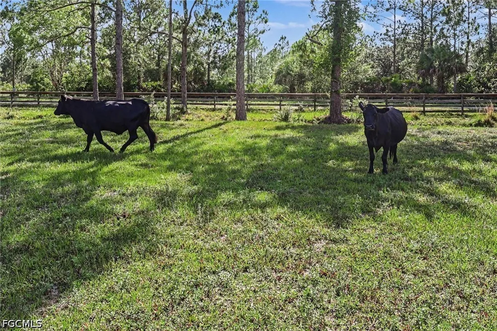 Secretariat Drive Labelle, FL 33935