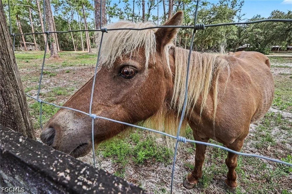 Secretariat Drive Labelle, FL 33935