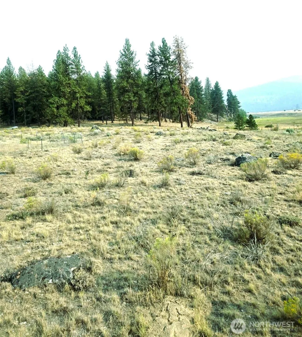 41 TBD Main Rd Tonasket, WA 98855