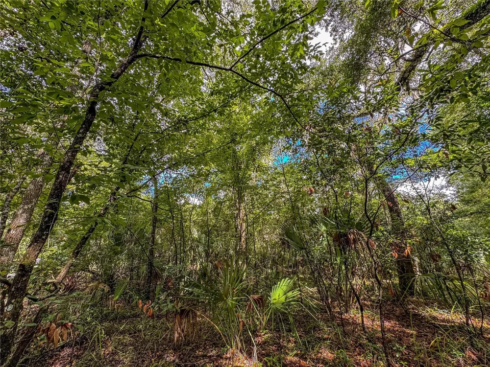 OLD HUNTER ROAD Brooksville, FL 34601