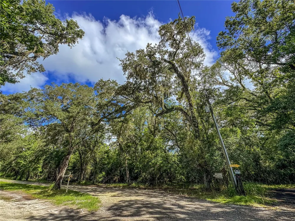 OLD HUNTER ROAD Brooksville, FL 34601