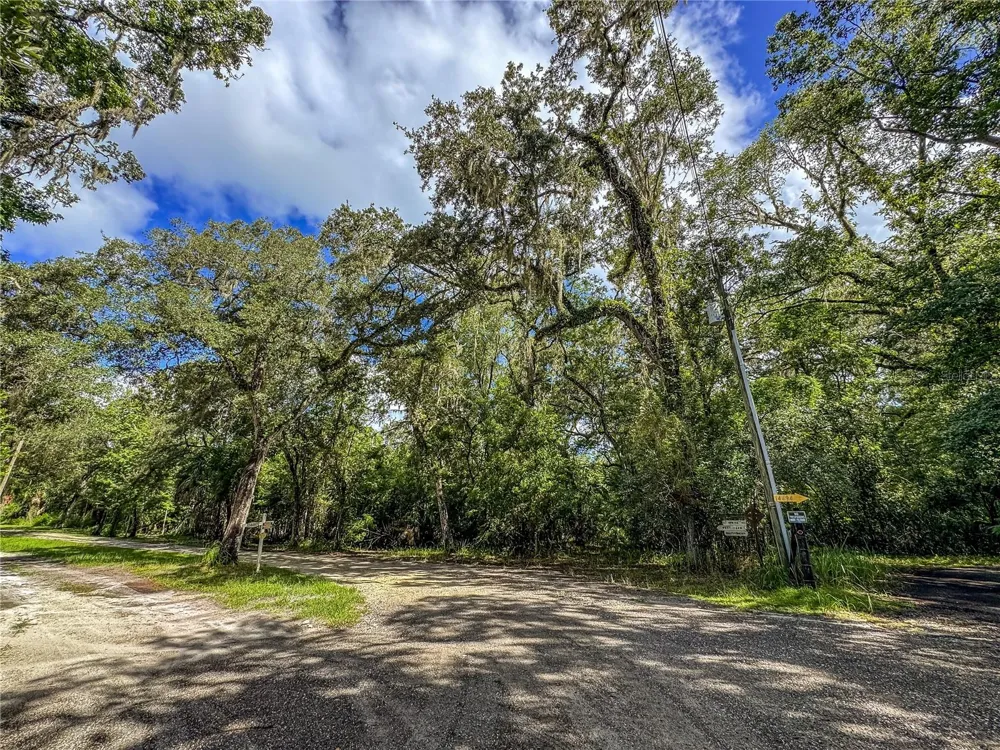 OLD HUNTER ROAD Brooksville, FL 34601