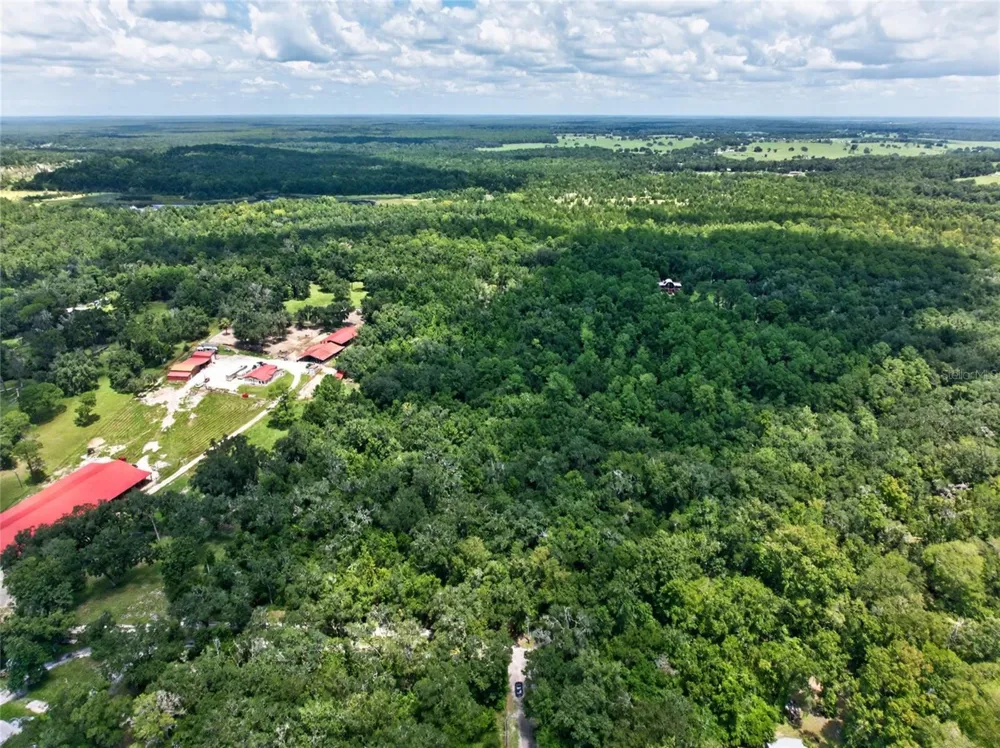 OLD HUNTER ROAD Brooksville, FL 34601