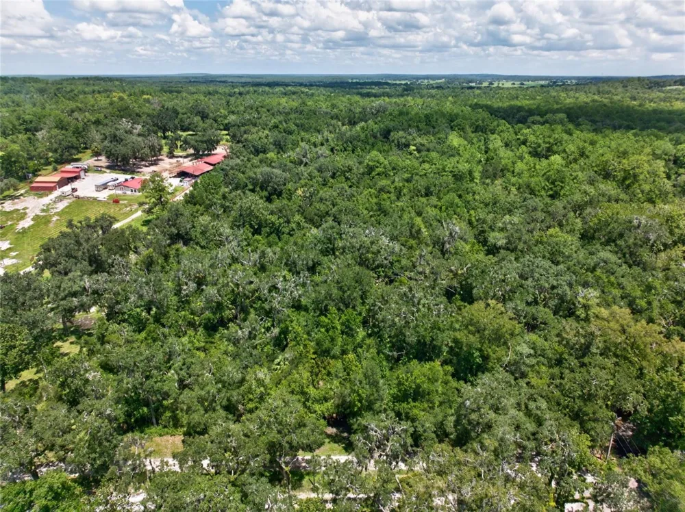 OLD HUNTER ROAD Brooksville, FL 34601