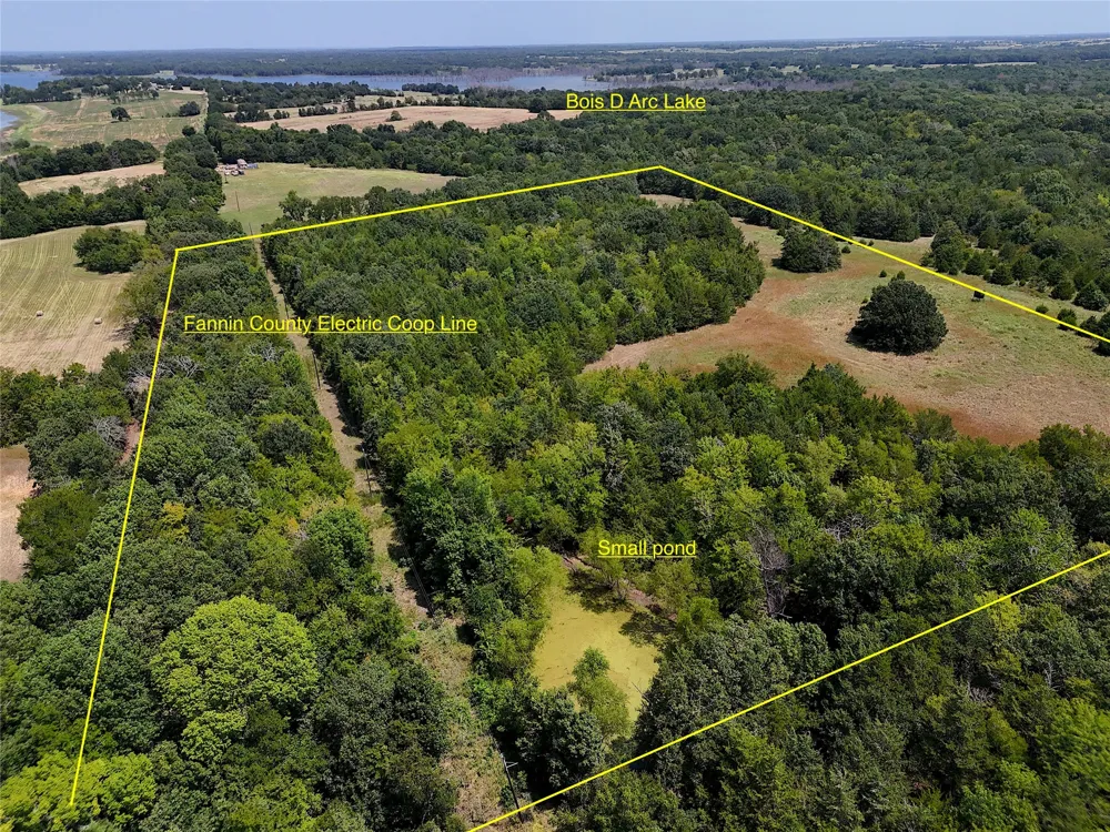 1600 CR 2765 Honey Grove, TX 75446