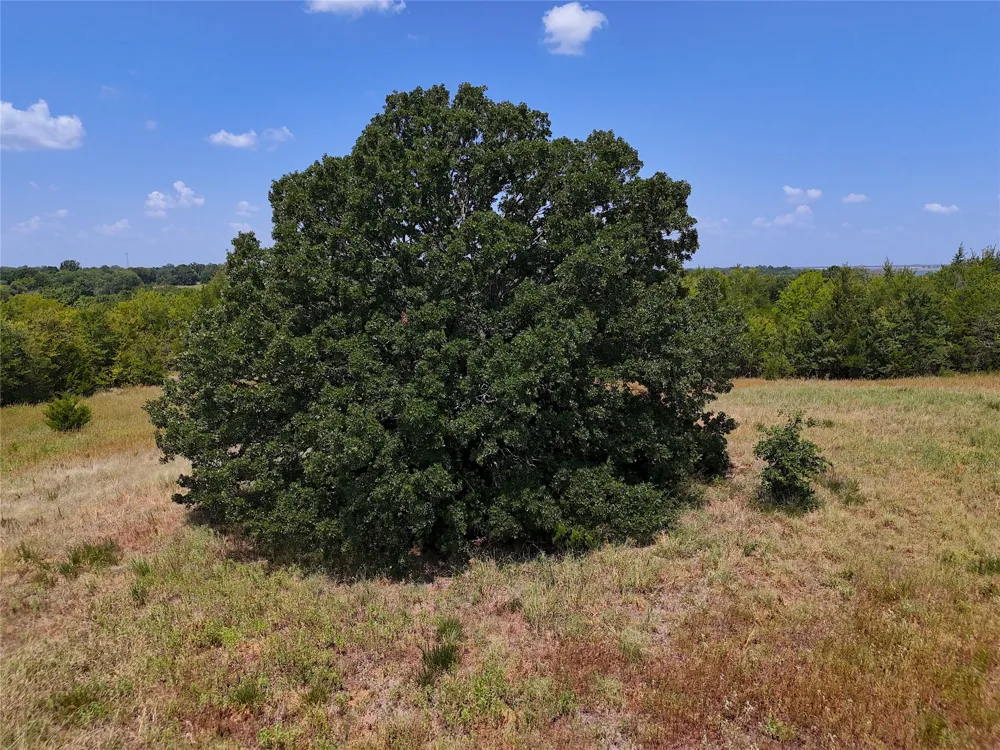 1600 CR 2765 Honey Grove, TX 75446