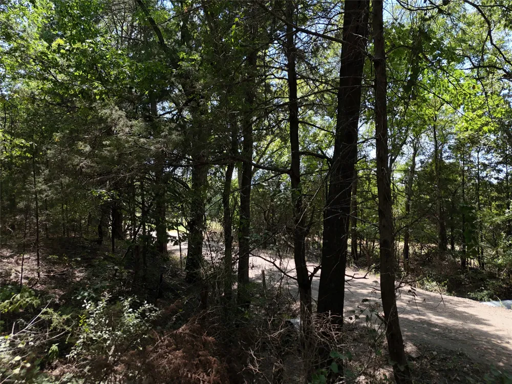 1600 CR 2765 Honey Grove, TX 75446