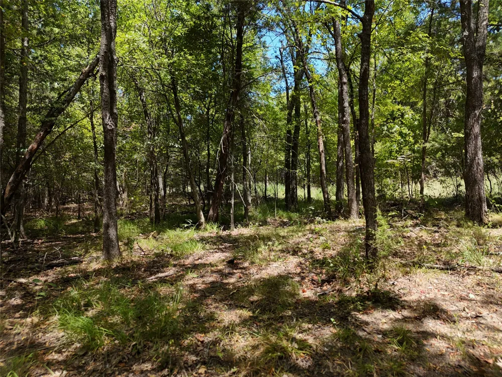 1600 CR 2765 Honey Grove, TX 75446