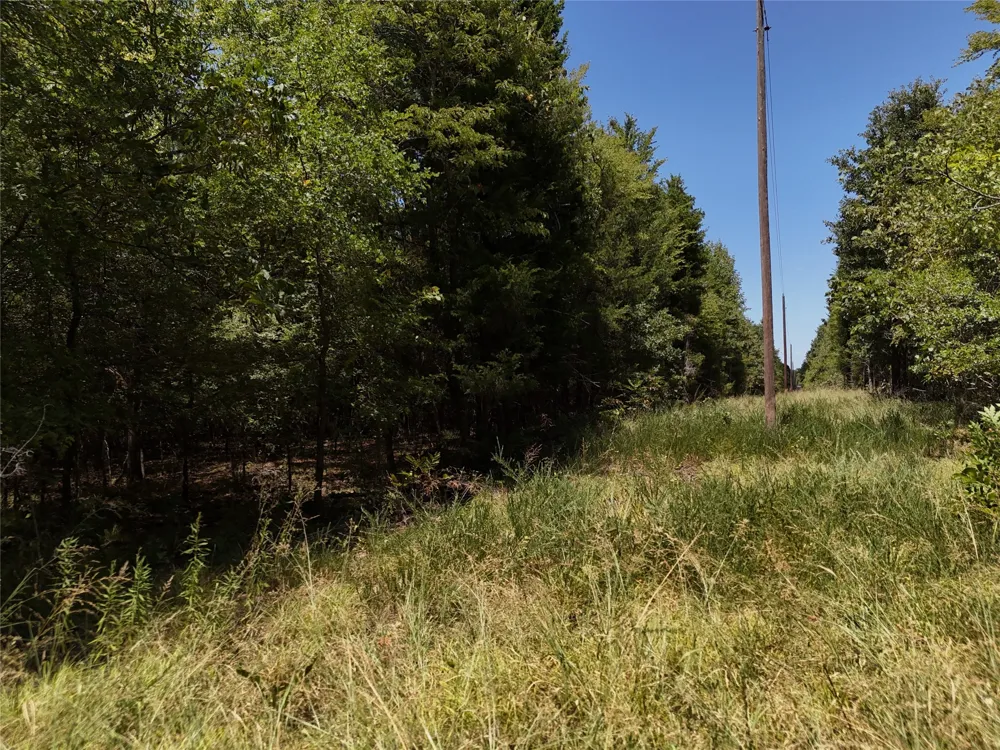 1600 CR 2765 Honey Grove, TX 75446
