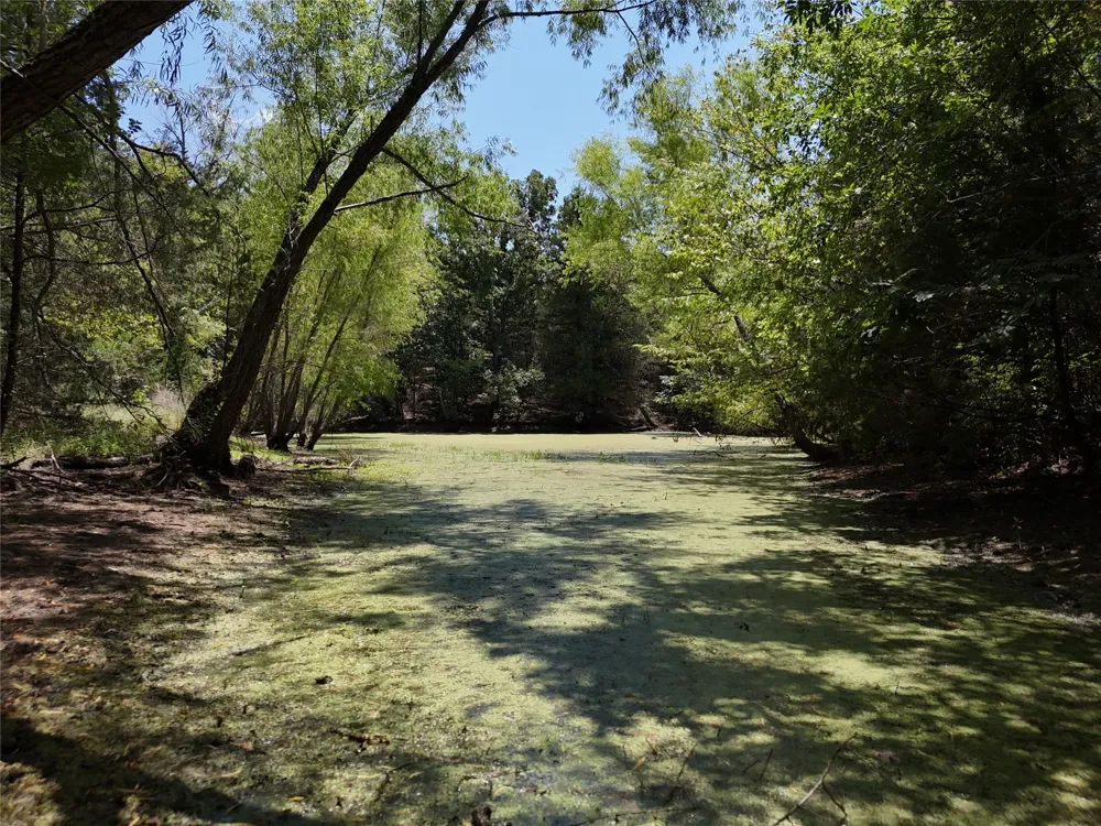 1600 CR 2765 Honey Grove, TX 75446