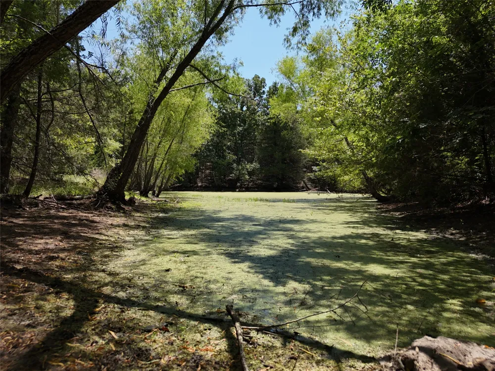 1600 CR 2765 Honey Grove, TX 75446