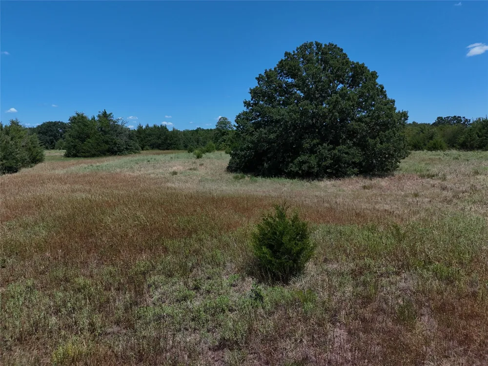 1600 CR 2765 Honey Grove, TX 75446