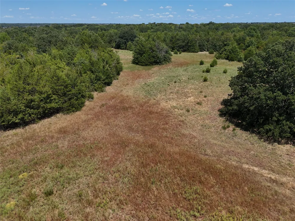 1600 CR 2765 Honey Grove, TX 75446