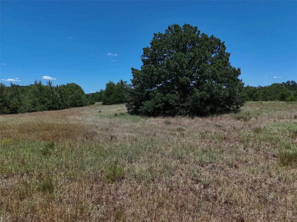1600 CR 2765 Honey Grove, TX 75446