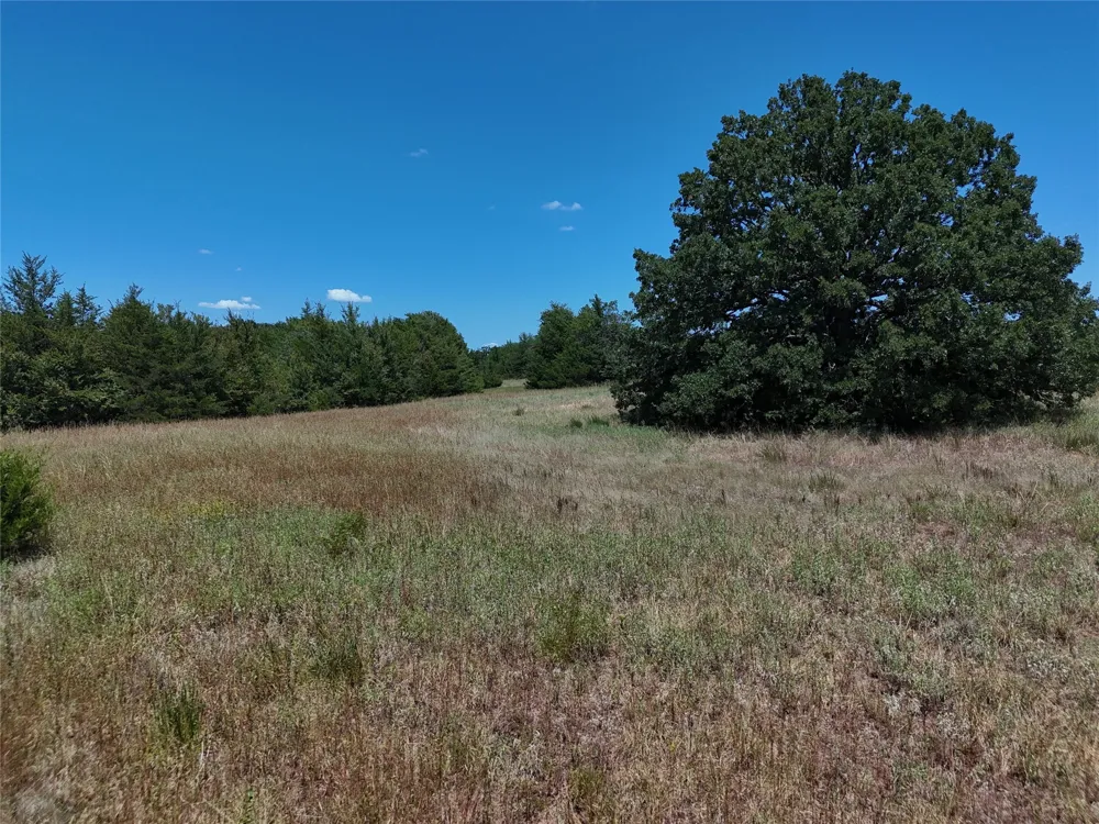 1600 CR 2765 Honey Grove, TX 75446