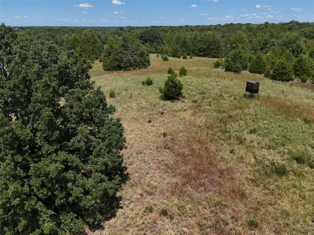 1600 CR 2765 Honey Grove, TX 75446