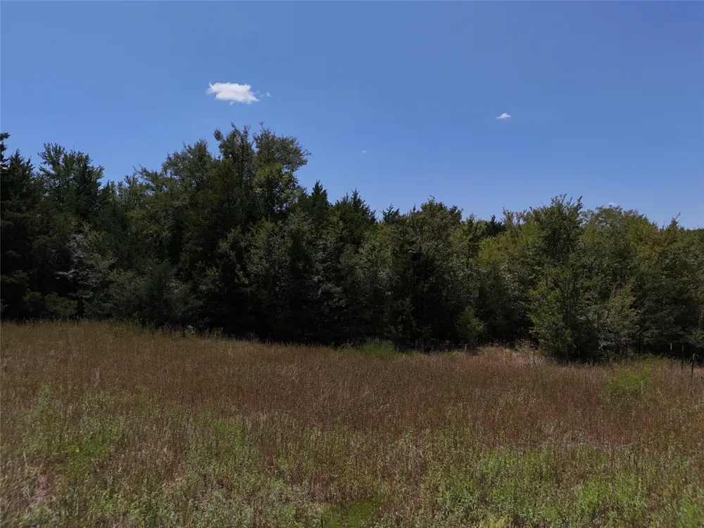 1600 CR 2765 Honey Grove, TX 75446
