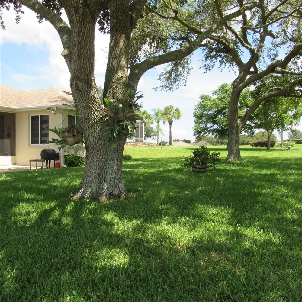 3204 ANTIGUA BAY LANE Tavares, FL 32778