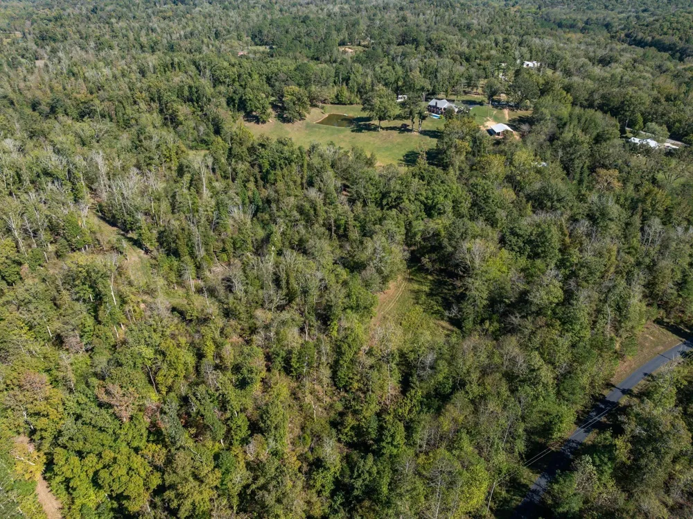 2743 Mouse Tail Rd Parsons, TN 38363