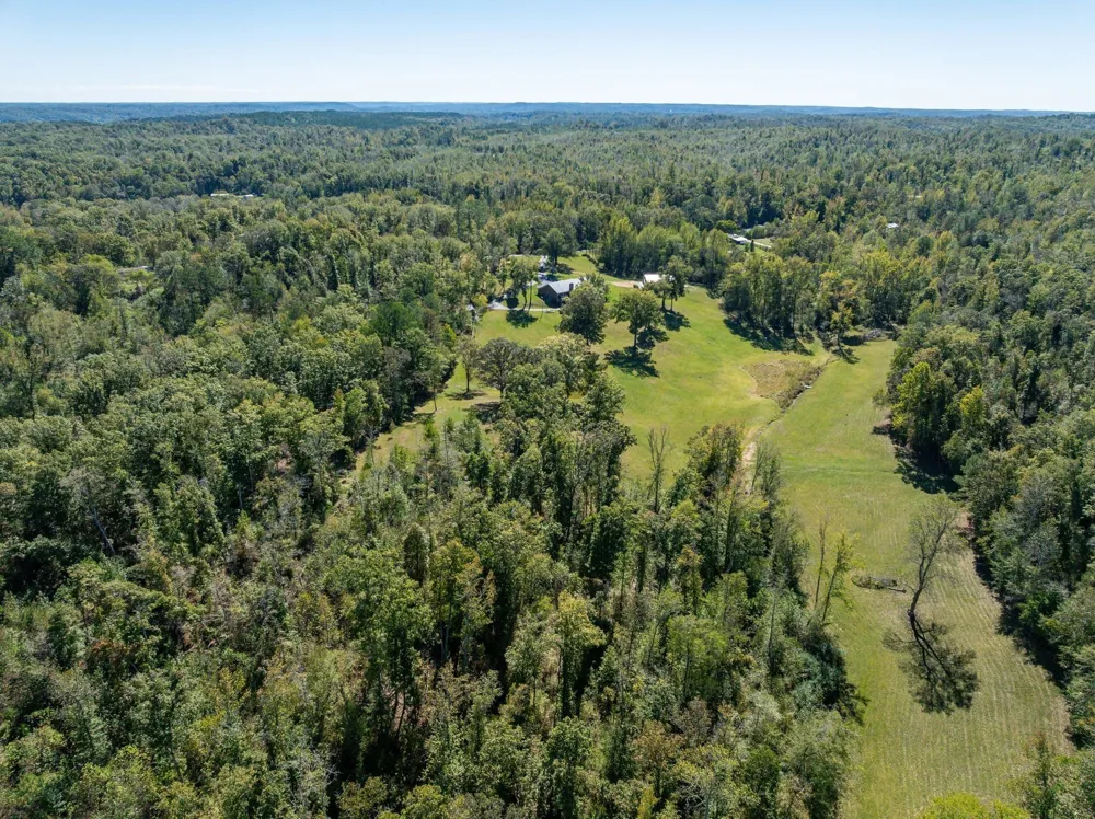 2743 Mouse Tail Rd Parsons, TN 38363