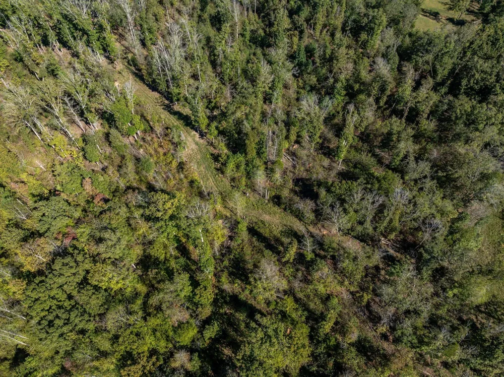 2743 Mouse Tail Rd Parsons, TN 38363