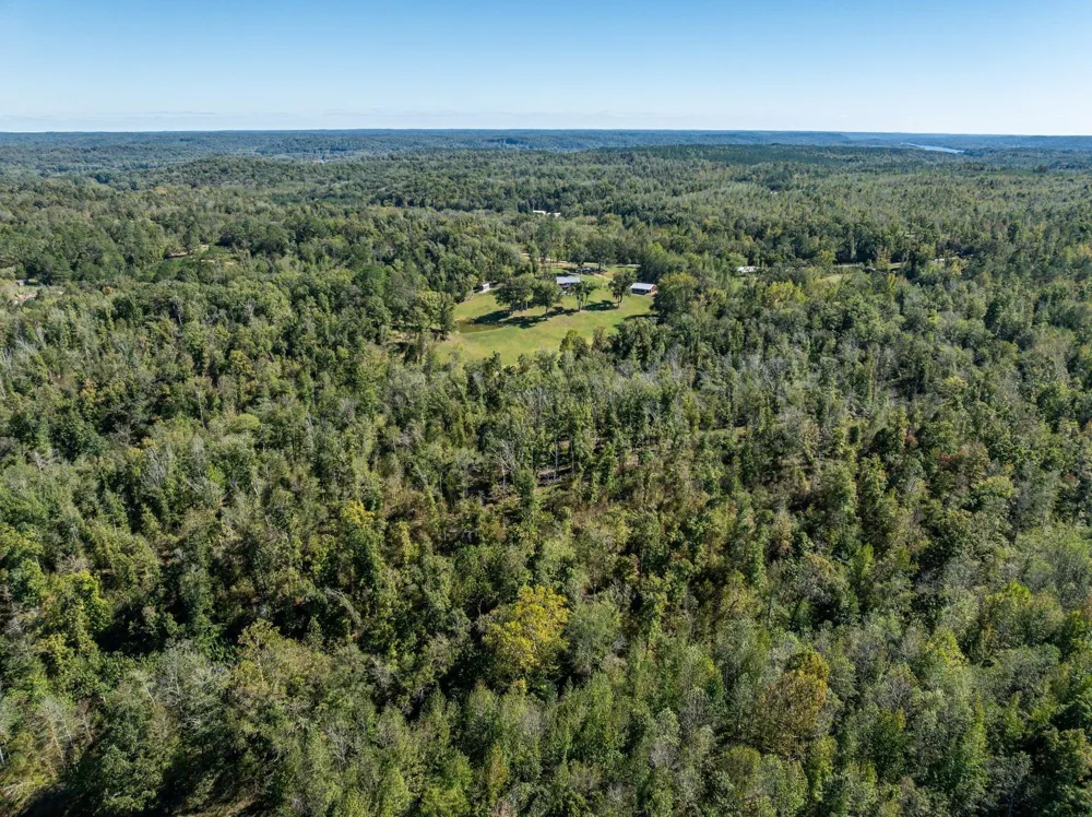 2743 Mouse Tail Rd Parsons, TN 38363
