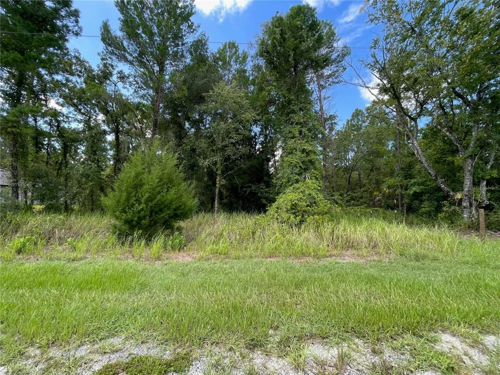 0 THRASHER AVENUE Weeki Wachee, FL 34614