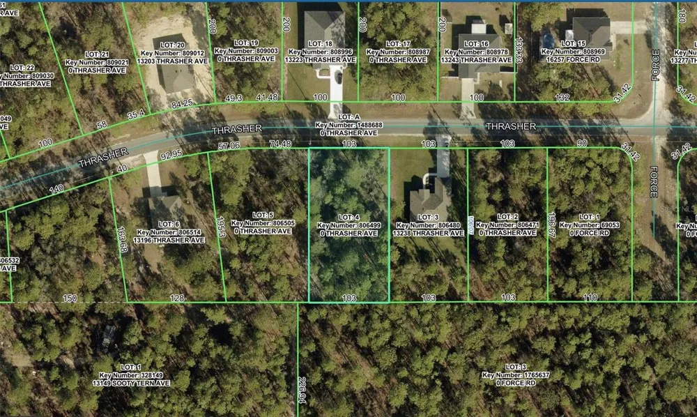 0 THRASHER AVENUE Weeki Wachee, FL 34614