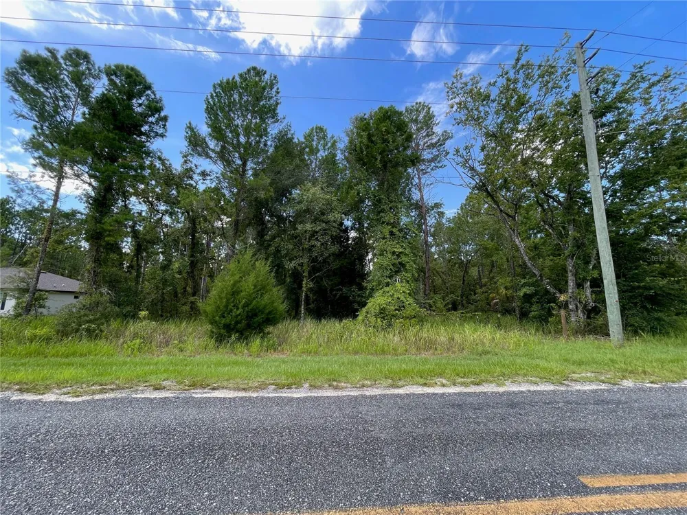 0 THRASHER AVENUE Weeki Wachee, FL 34614
