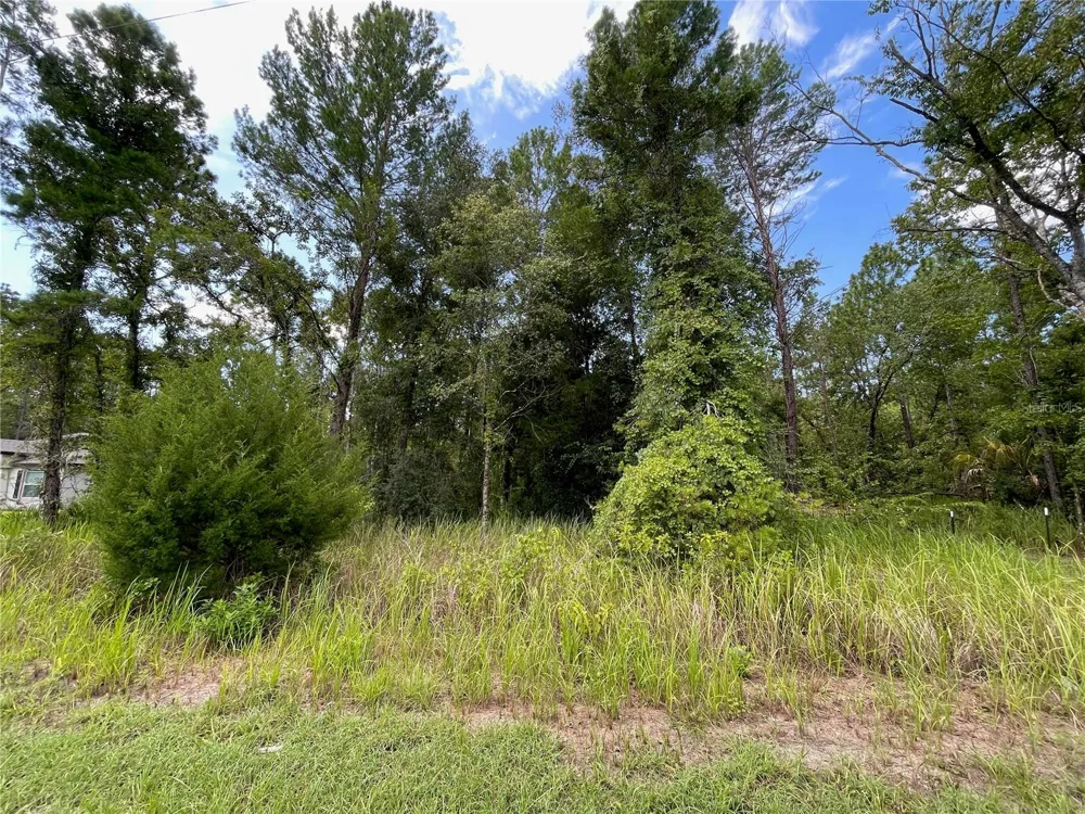 0 THRASHER AVENUE Weeki Wachee, FL 34614