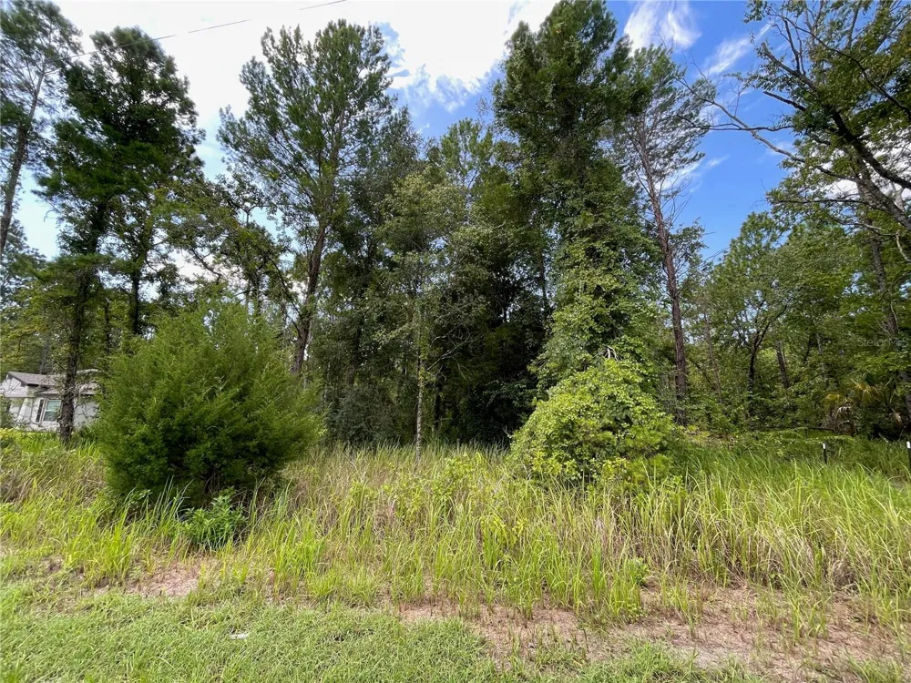 0 THRASHER AVENUE Weeki Wachee, FL 34614