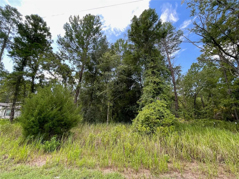 0 THRASHER AVENUE Weeki Wachee, FL 34614